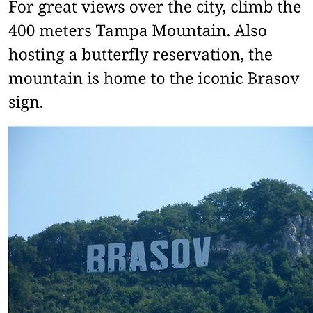 Maya'S Apartament Brasov Apartment Екстериор снимка